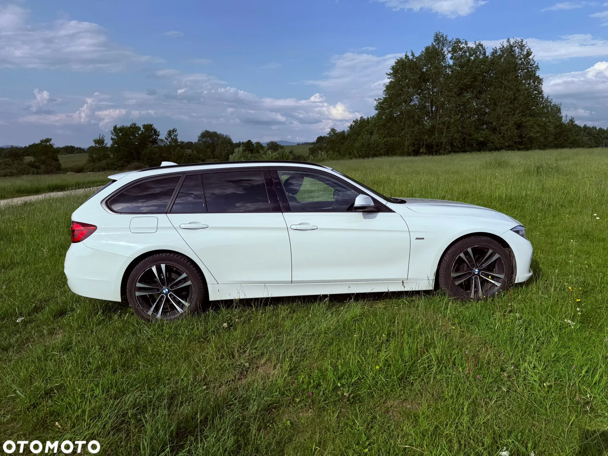 BMW Seria 3 318i Sport Line Shadow - 4