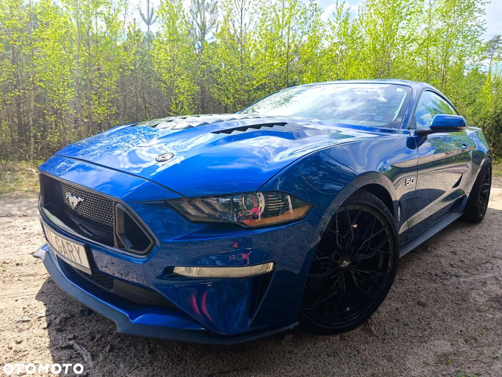 Ford Mustang Fastback 5.0 Ti-VCT V8 MACH1 - 5