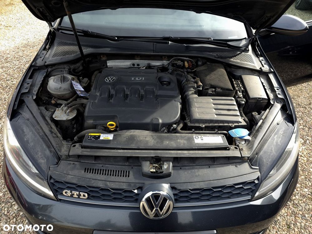 Volkswagen Golf - 38