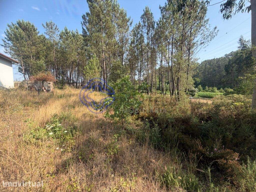 TERRENO COM 1100 M² | GANDRA – PAREDES - Grande imagem: 4/11