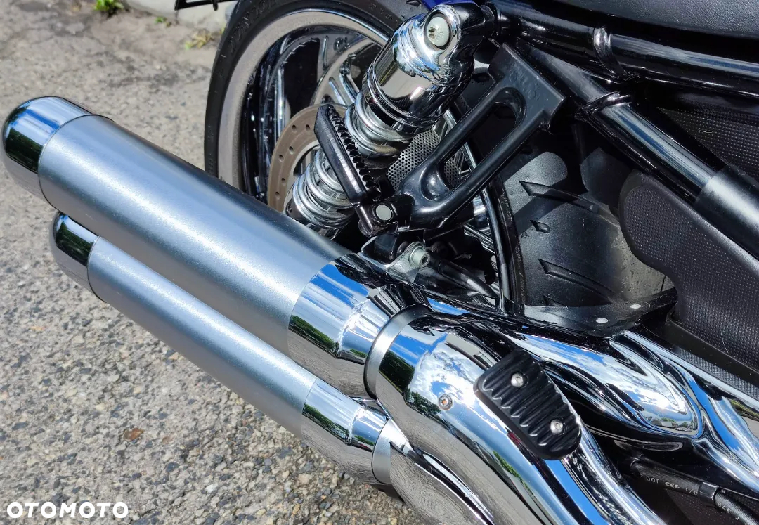 Harley-Davidson Softail V-Rod - 19
