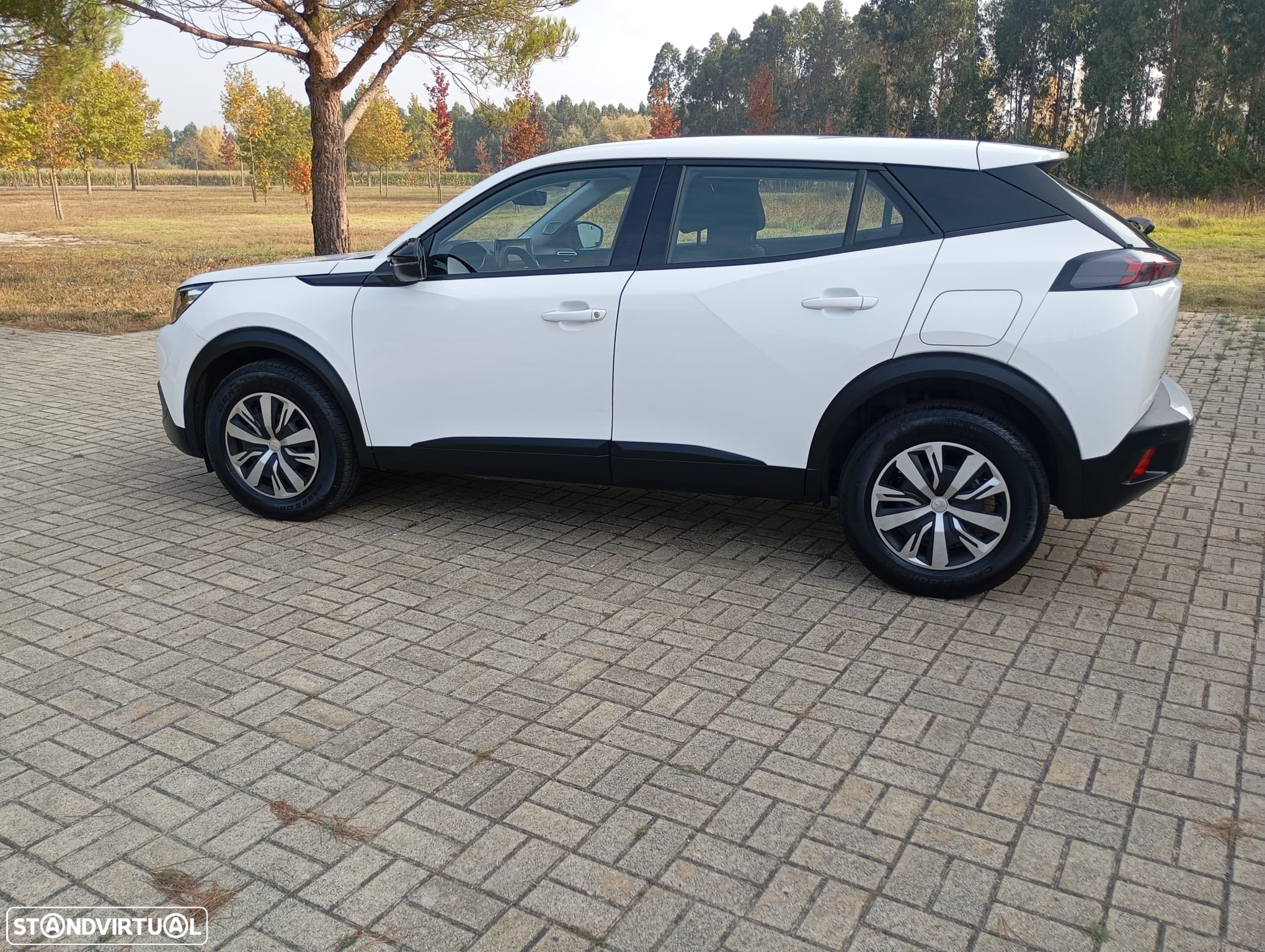Peugeot 2008 BlueHDi 110 Active - 10