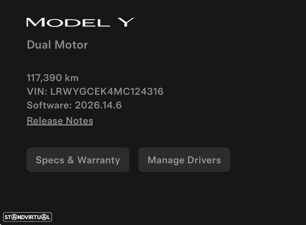 Tesla Model Y Long Range Tração Integral - 20