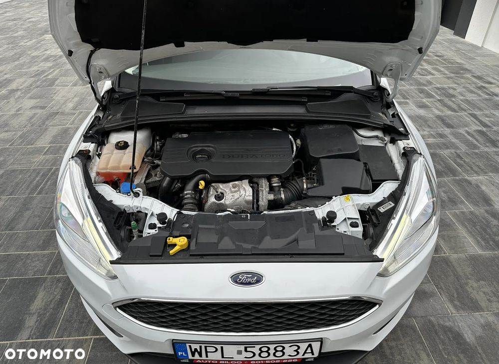 Ford Focus - 16