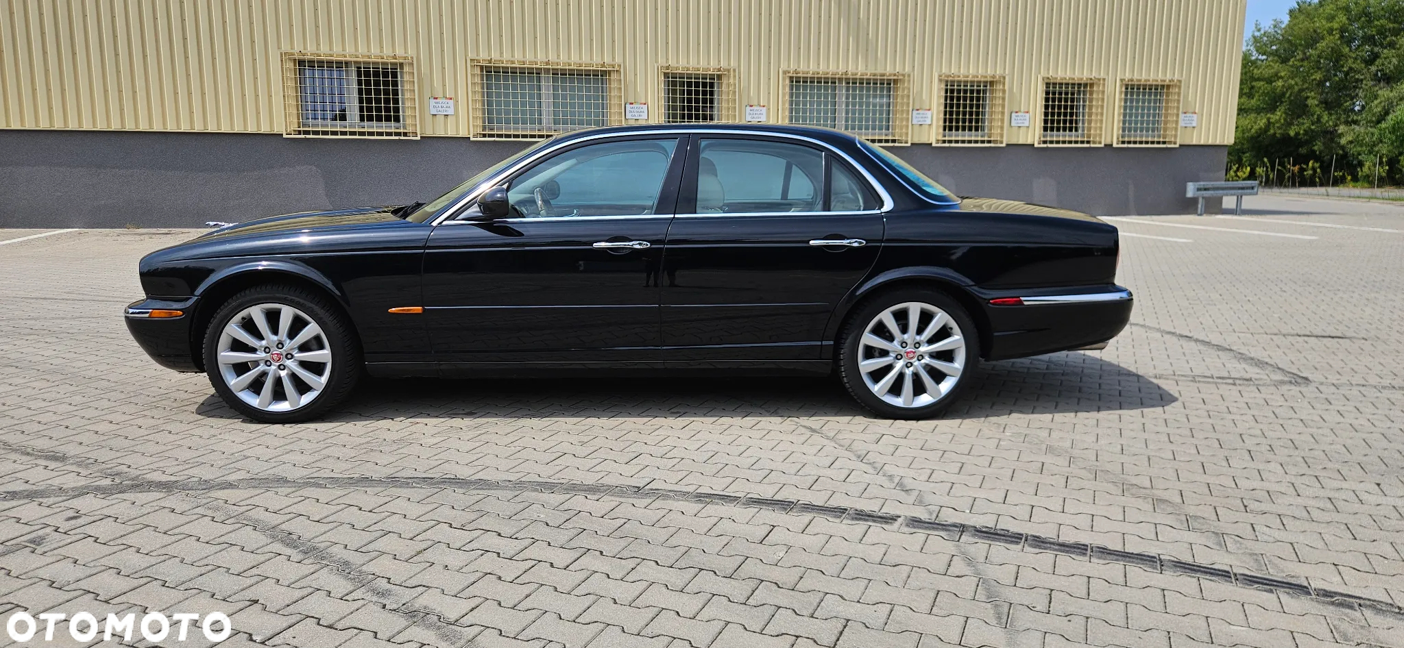 Jaguar XJ XJ8 4.2 - 5