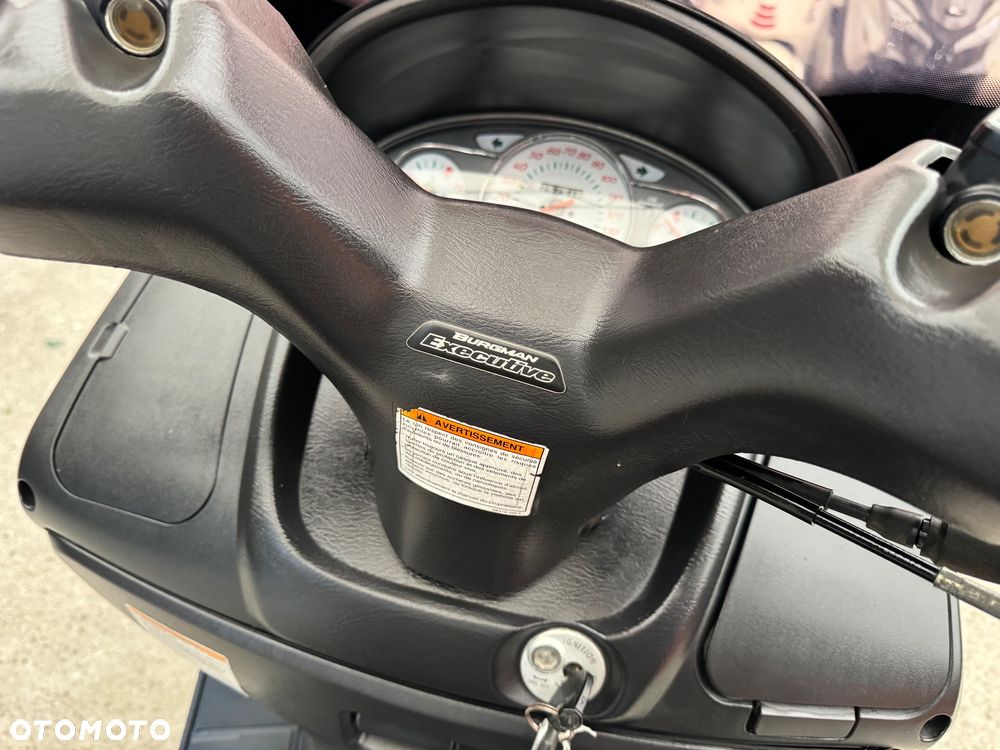 Suzuki Burgman - 10