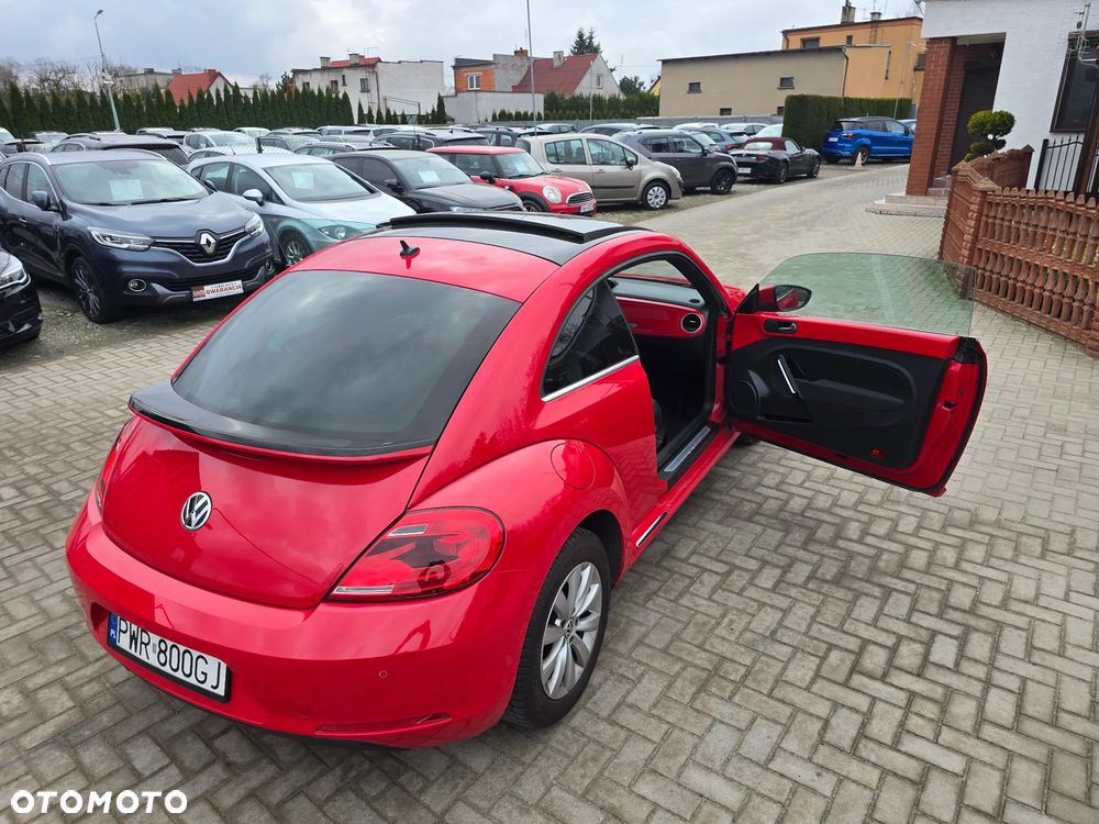 Volkswagen Beetle - 34
