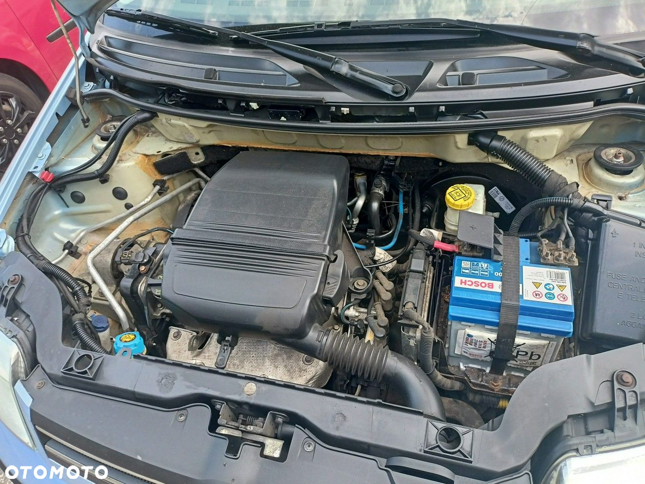 Fiat Panda - 36