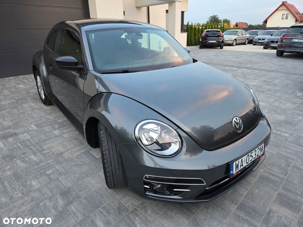 Volkswagen Beetle - 3