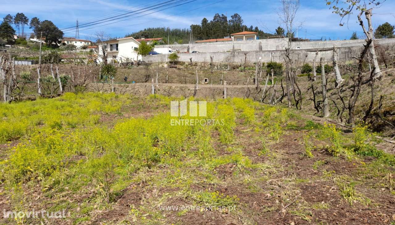 Venda Terreno, Fregim, Amarante - Grande imagem: 5/38