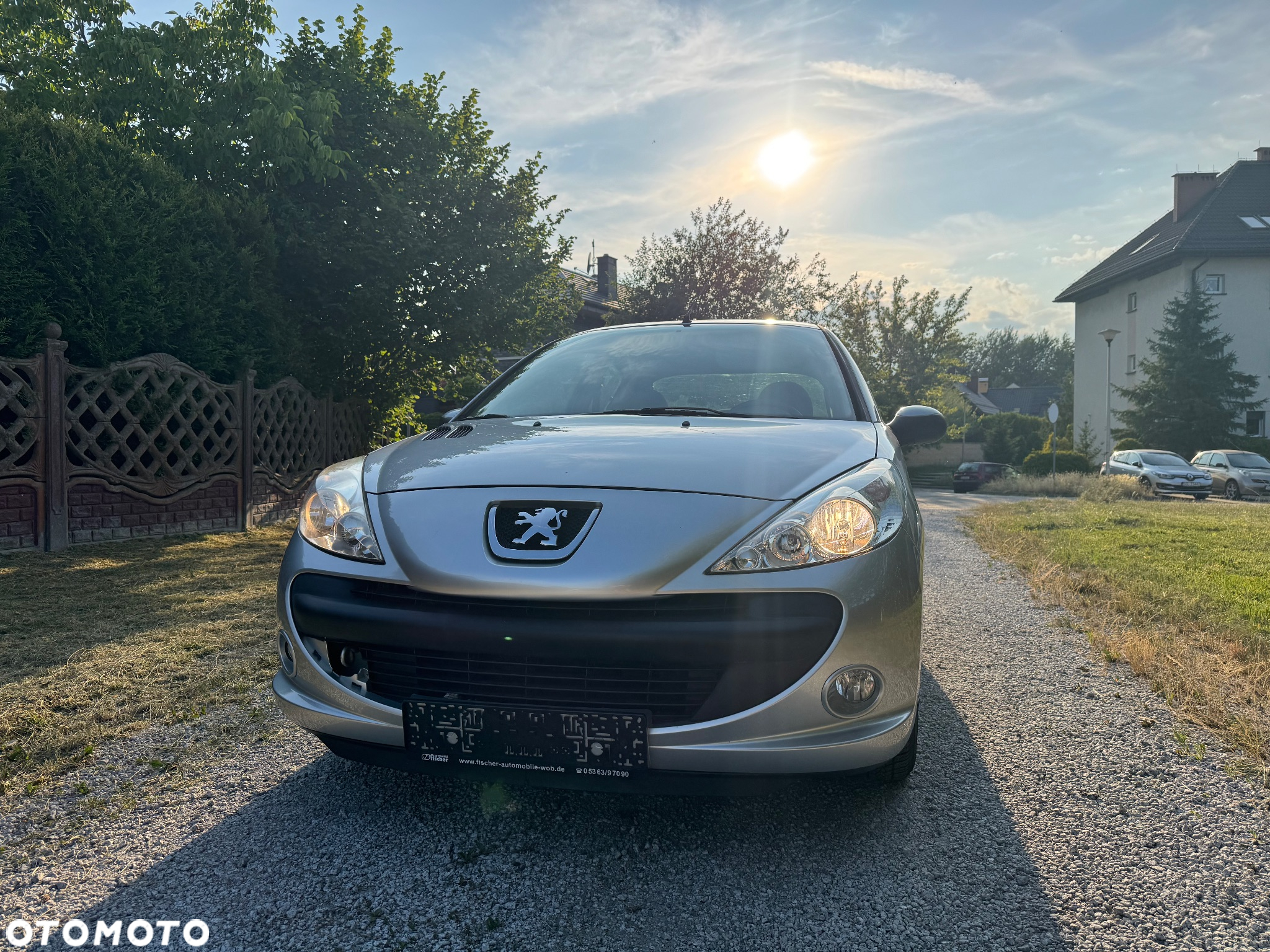 Peugeot 206 plus - 3