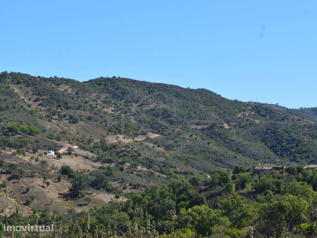 terreno Rustico, Loulé Algarve - Grande imagem: 2/18