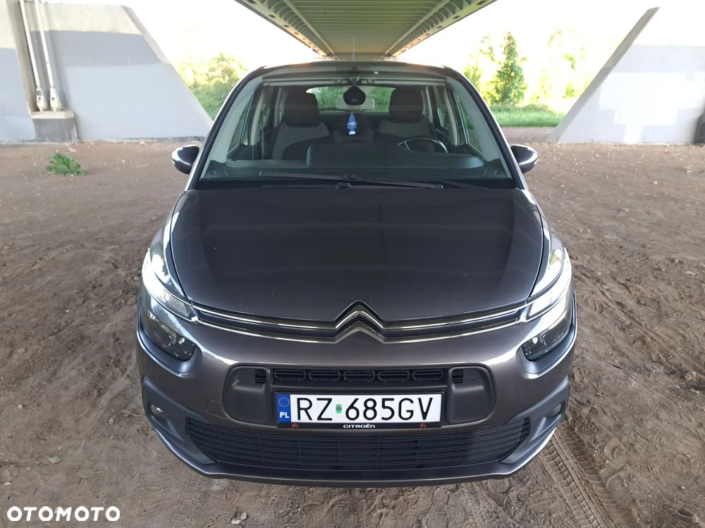 Citroën C4 SpaceTourer 1.5 BlueHDi Shine S&S EAT8 - 10