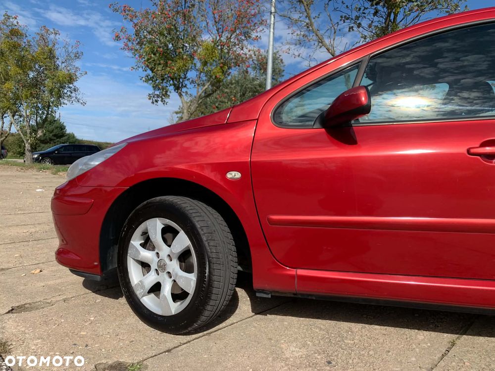 Peugeot 307 1.6 HDI Premium - 23