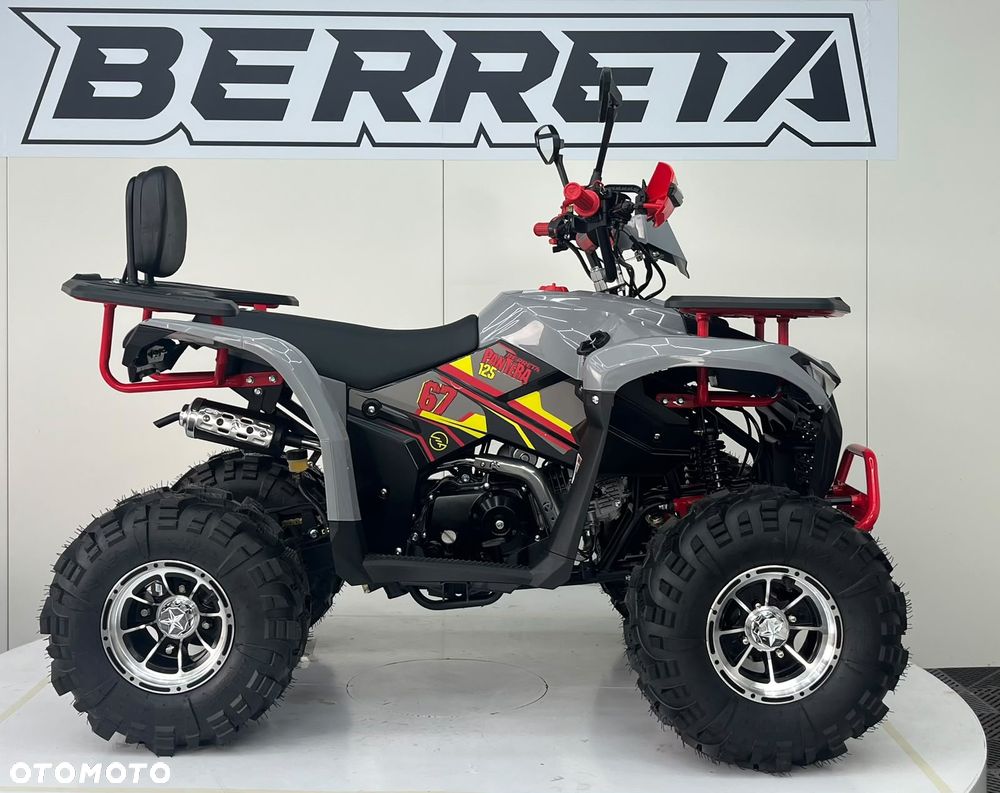 Berreta Inny - 15