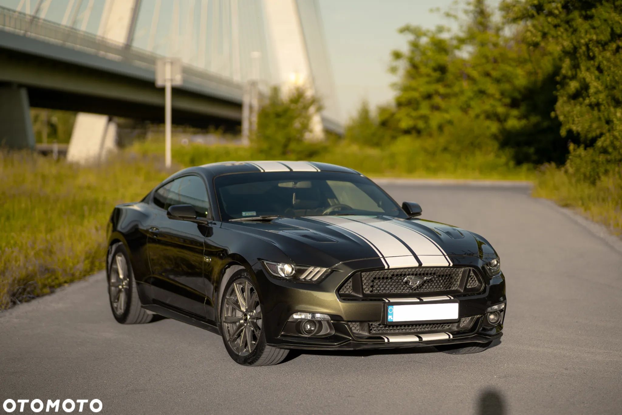 Ford Mustang 5.0 V8 GT - 1
