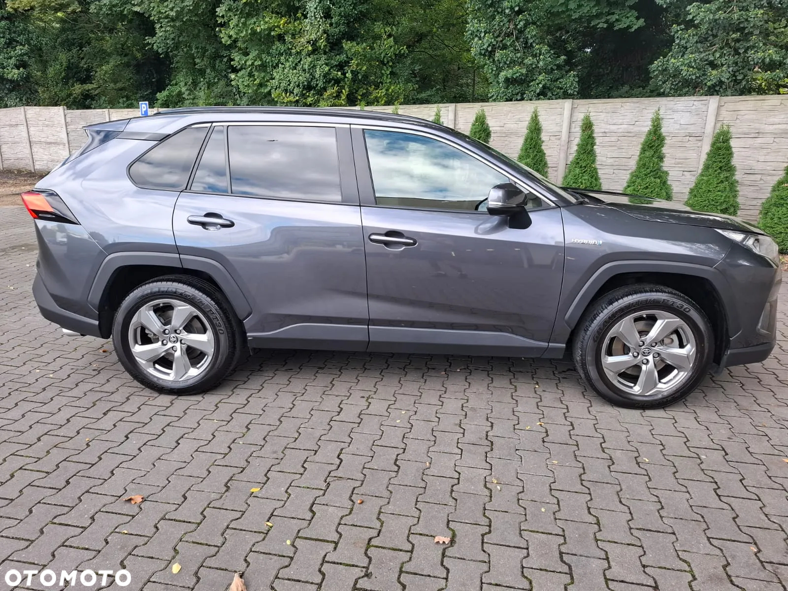 Toyota RAV4 2.5 Hybrid Comfort 4x2 - 12