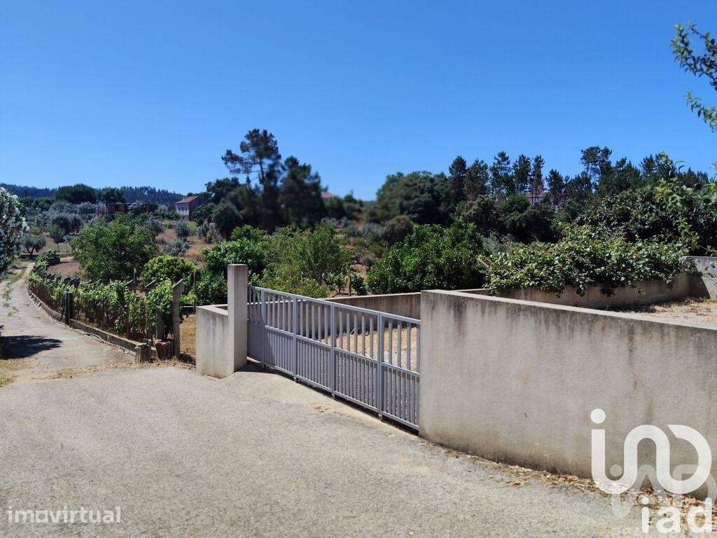 Terreno em Castelo - Grande imagem: 4/32
