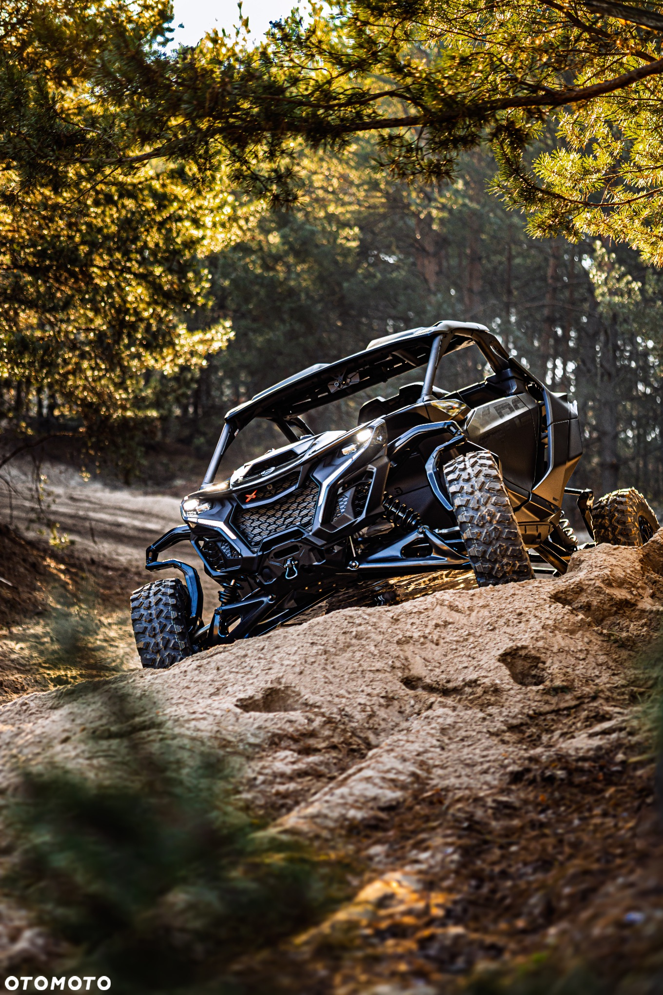 Can-Am Maverick - 20