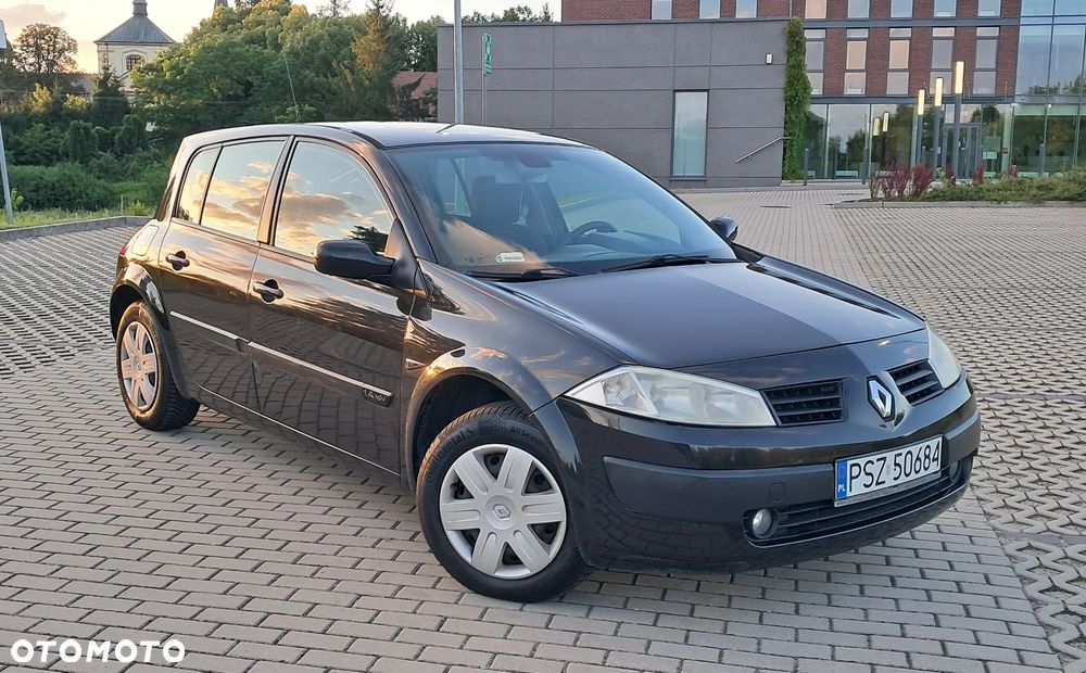Renault Megane 1.4 16V Authentique - 20