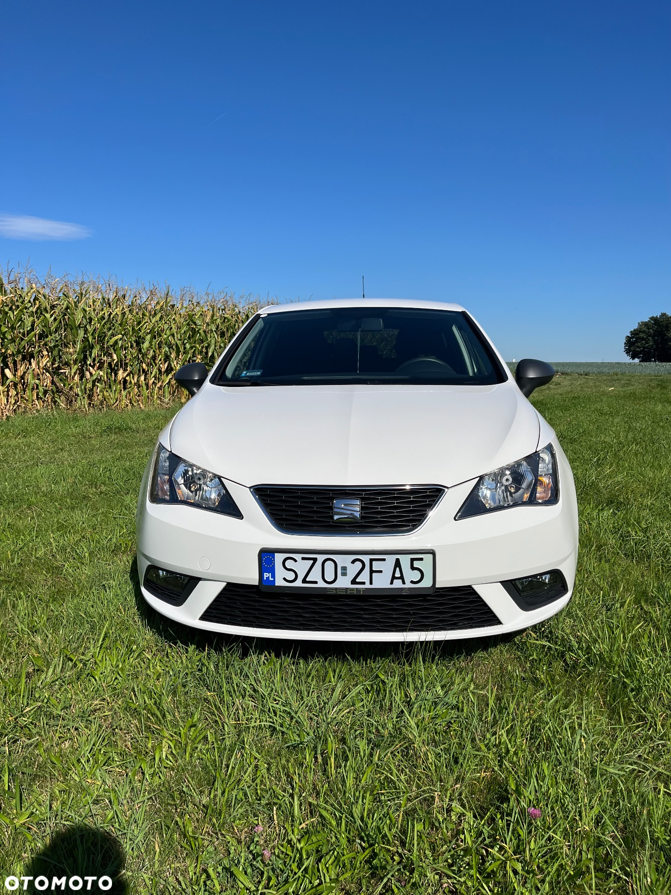 Seat Ibiza 1.0 Reference - 2