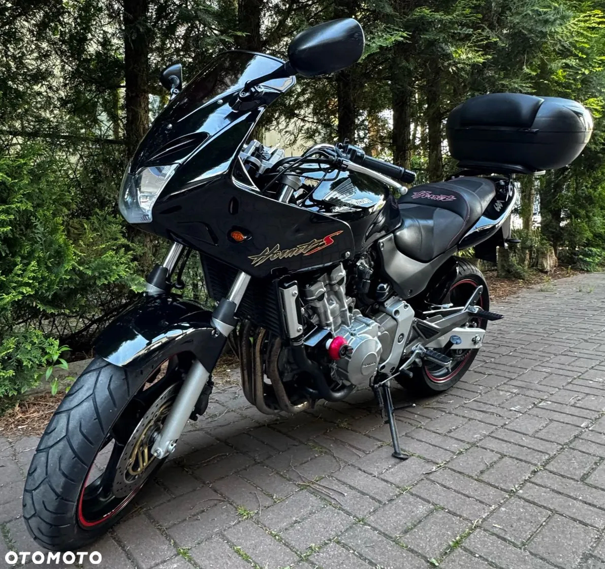 Honda Hornet - 8