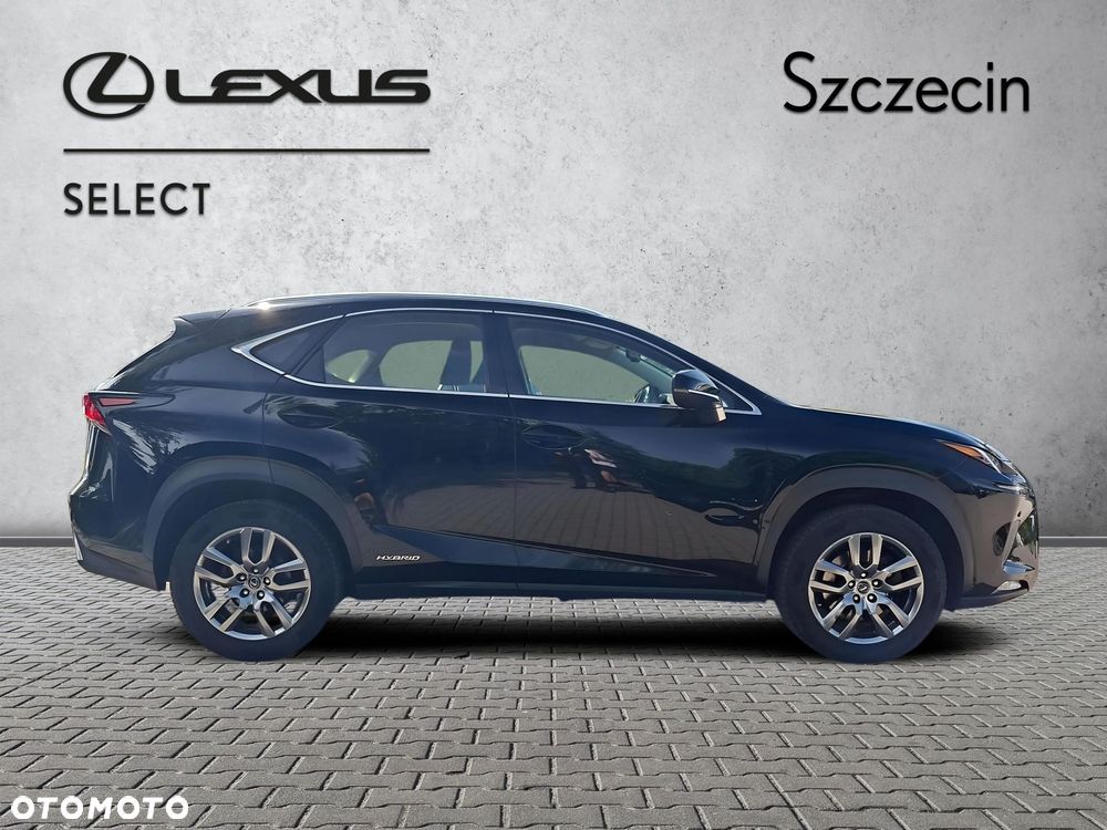 Lexus NX 300h Business Edition AWD - 6