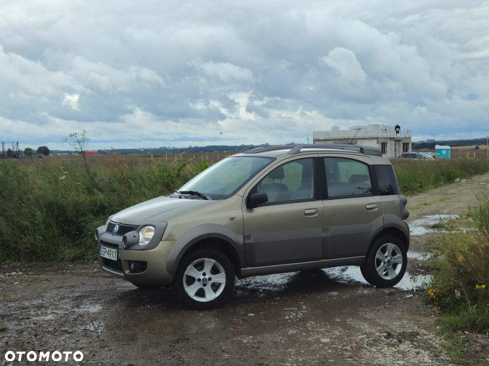 Fiat Panda 1.3 Multijet Cross 4x4 - 14