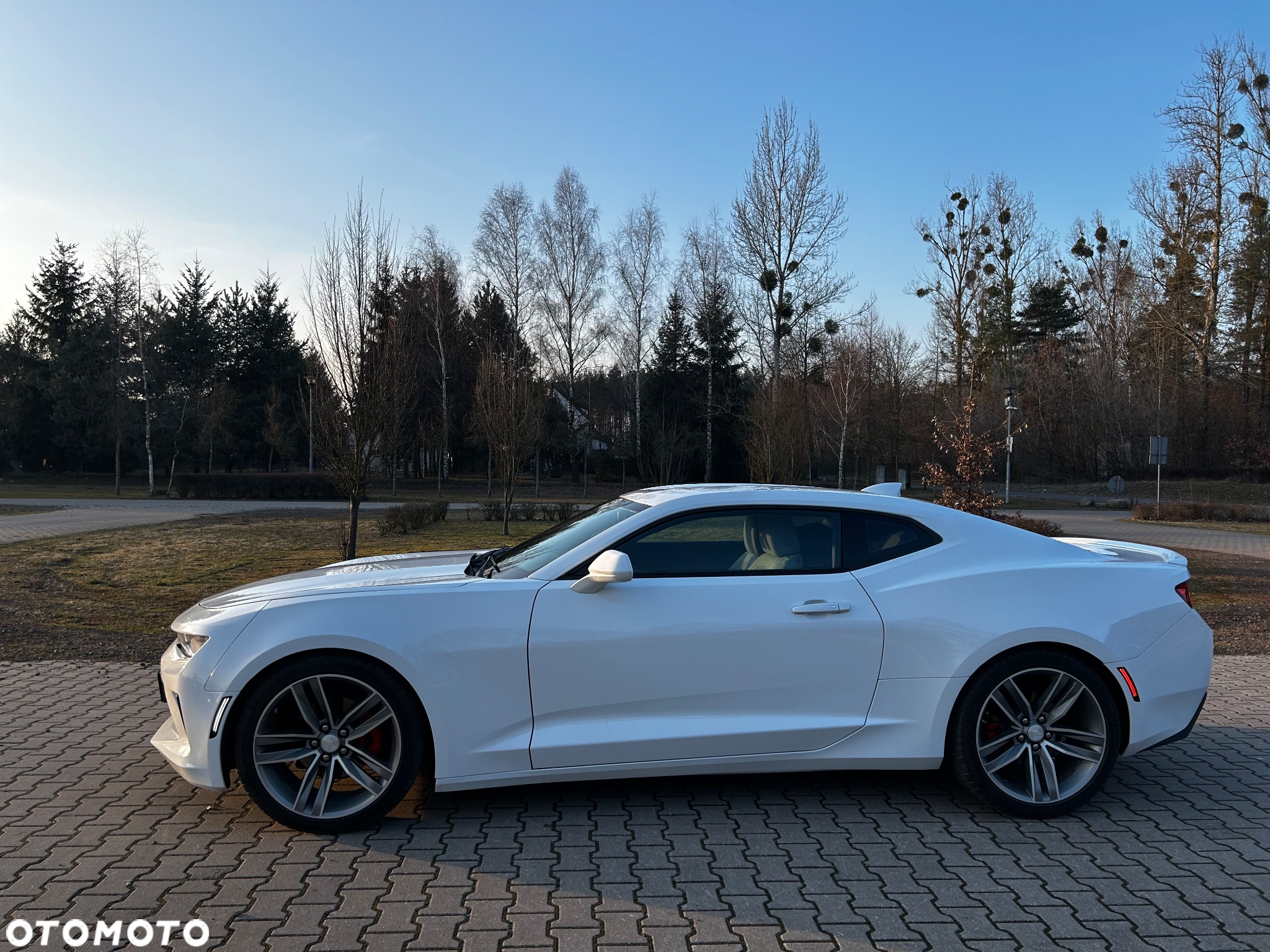 Chevrolet Camaro - 5