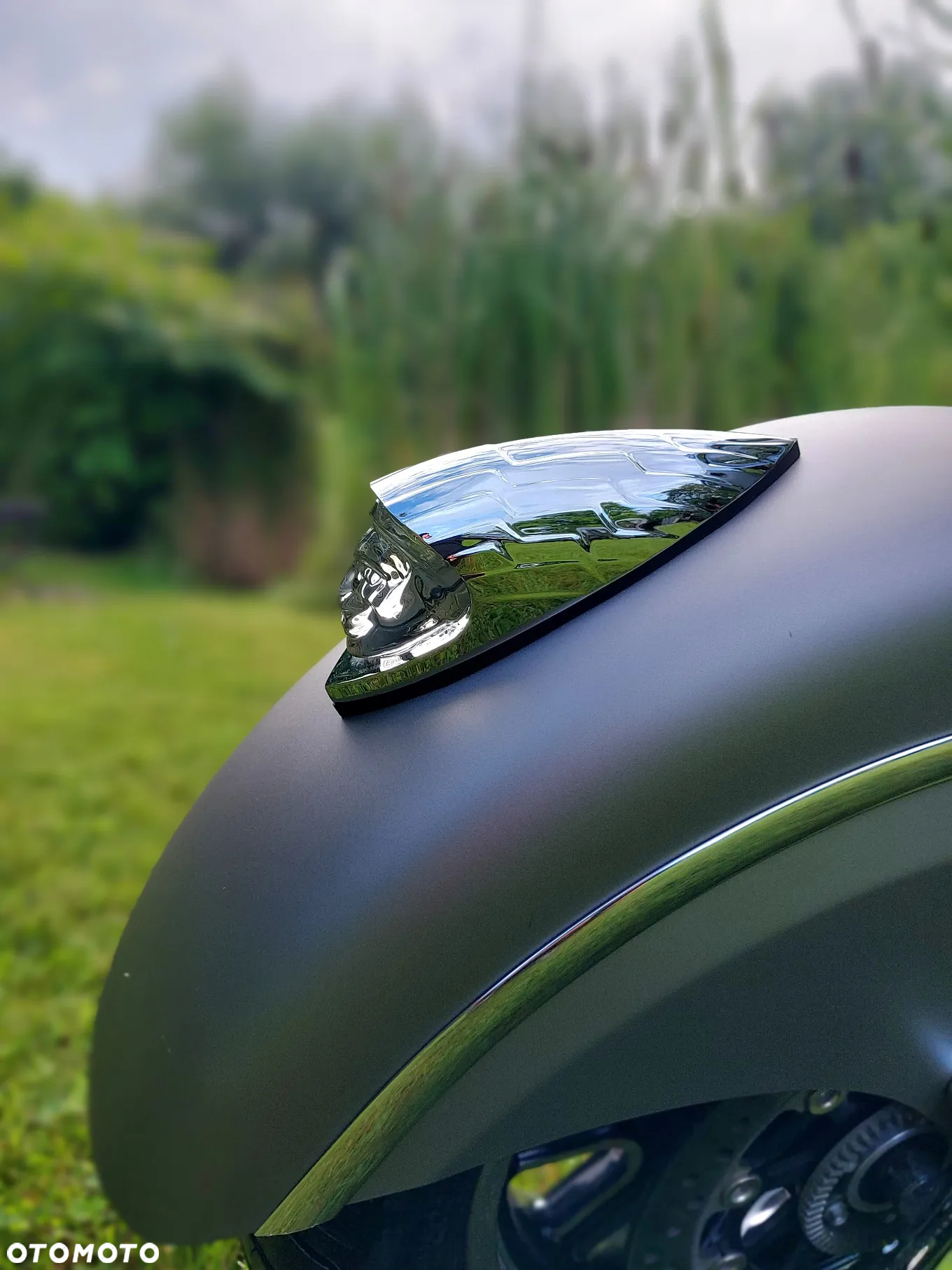 Indian Chieftain - 12
