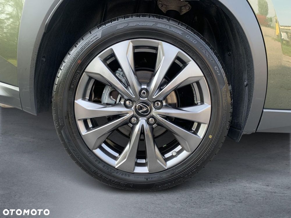 Lexus UX 250h GPF F Sport Design 2WD - 21