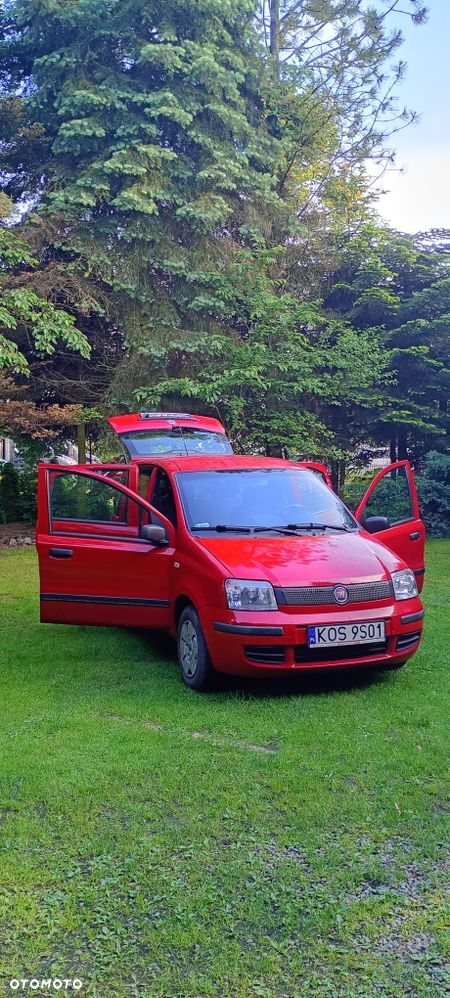 Fiat Panda - 2