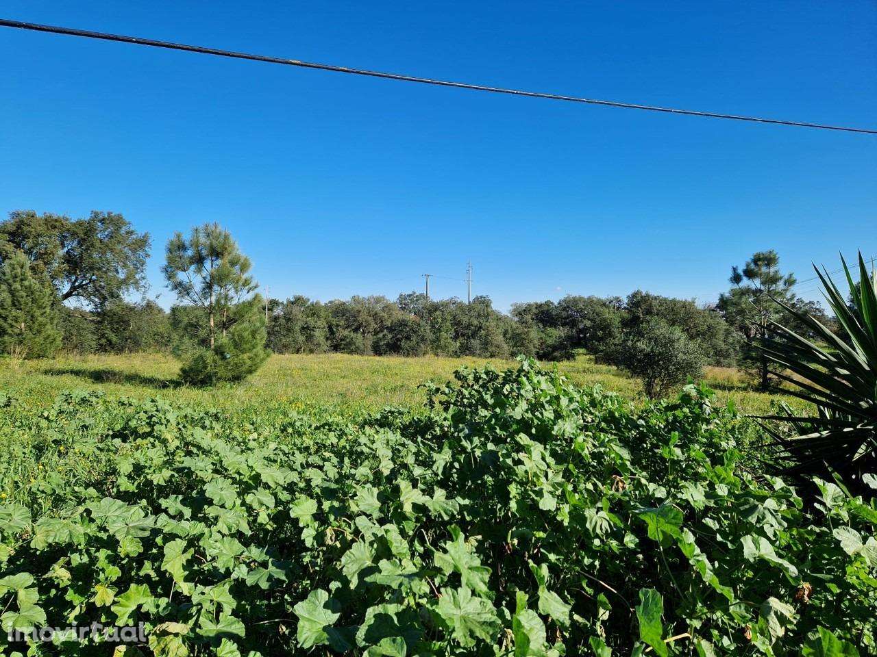 Terreno Padeiras - Grande imagem: 5/8