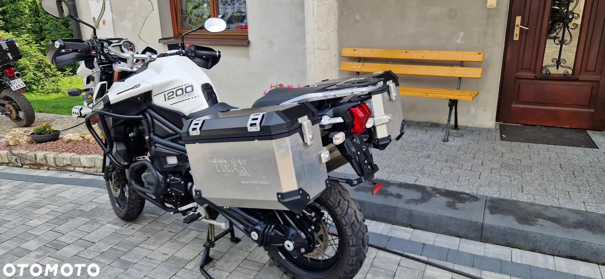 Triumph Tiger - 17