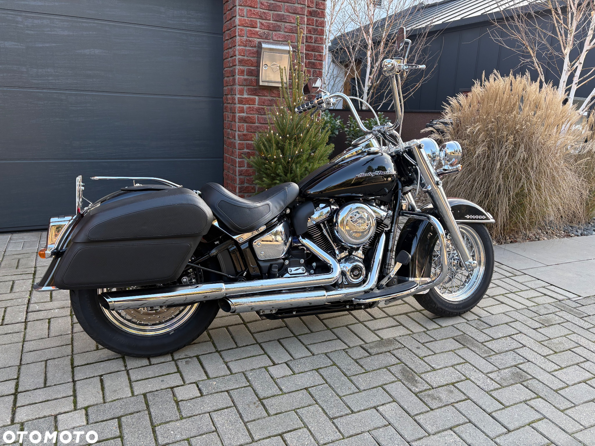 Harley-Davidson Softail Deluxe - 2