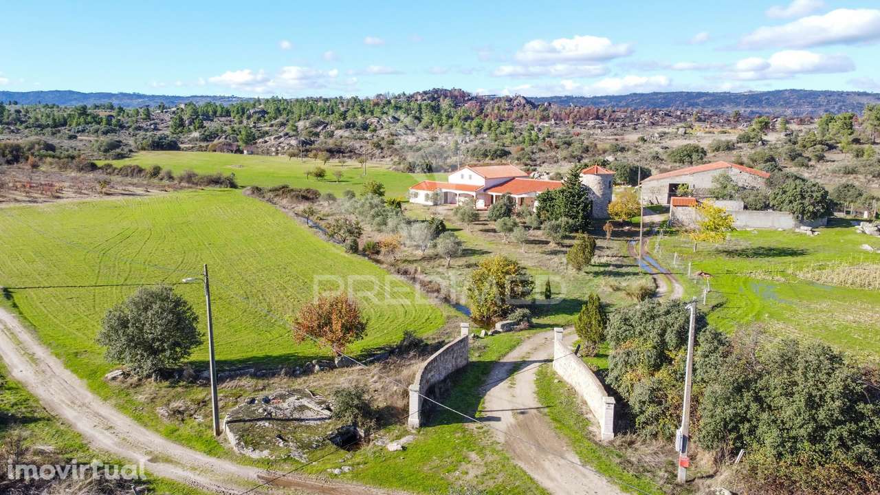 Quinta única com mais de 18 hectares junto a Marialva e ao Douro - Grande imagem: 2/27