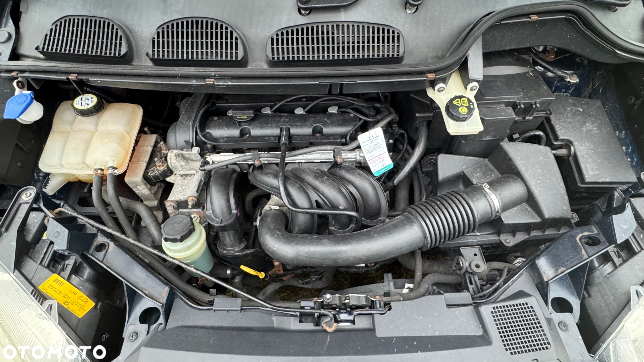 Ford Focus C-Max 1.6 Amber X - 15