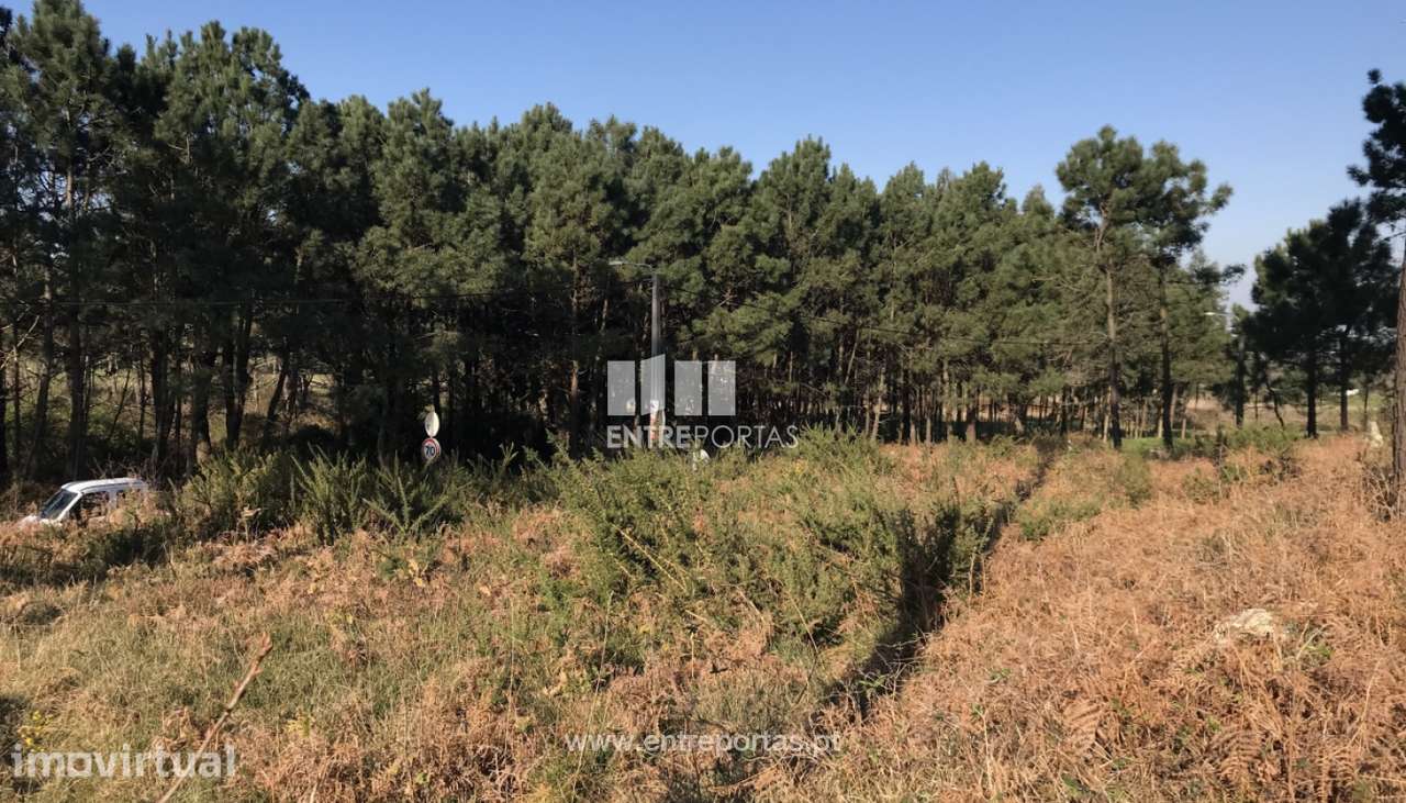 Venda de Terreno, Carreço, Viana do Castelo. - Grande imagem: 5/28