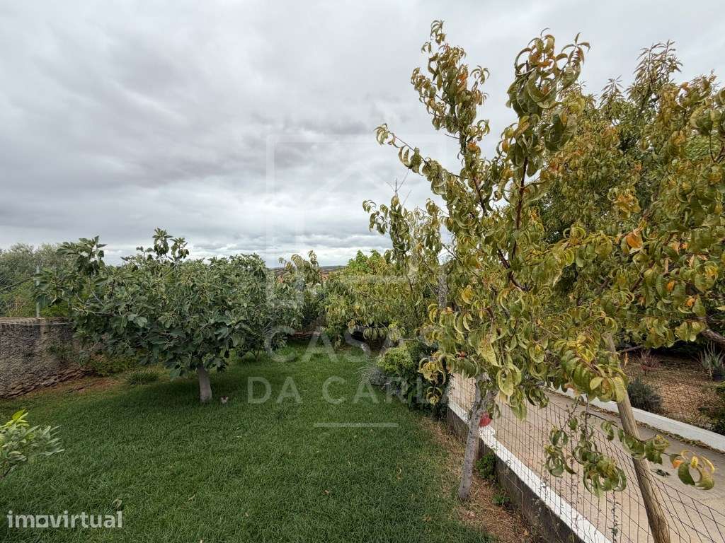 Propriedade T3 com Anexo T1+1 completamente renovada e jardim com 1... - Grande imagem: 4/43