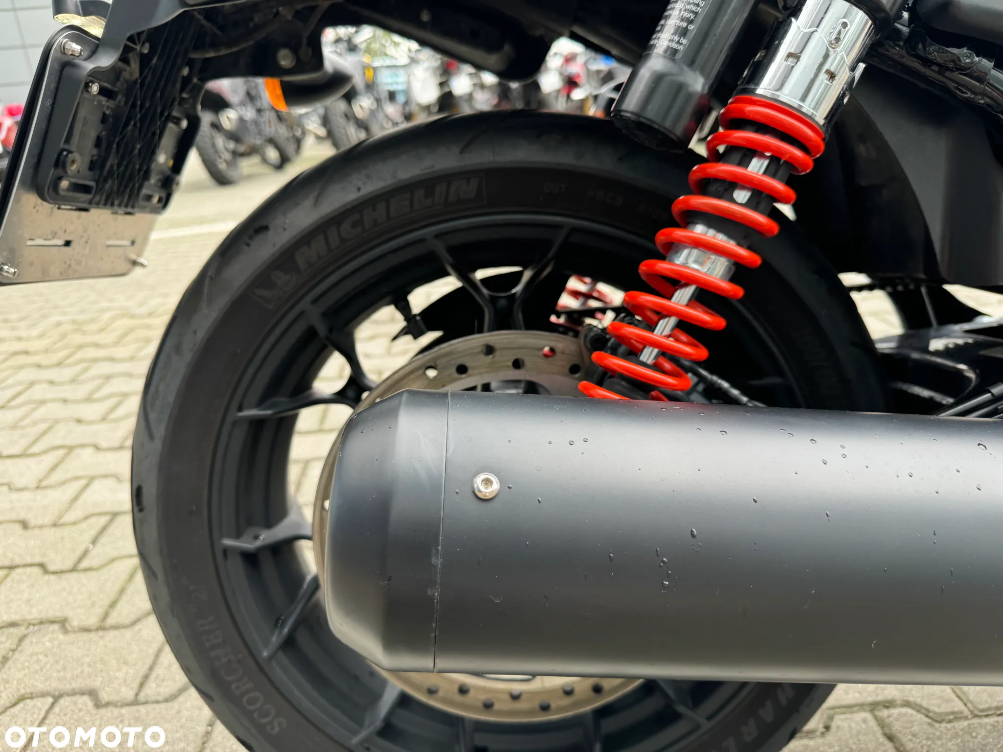 Harley-Davidson Street Rod XG 750A - 13