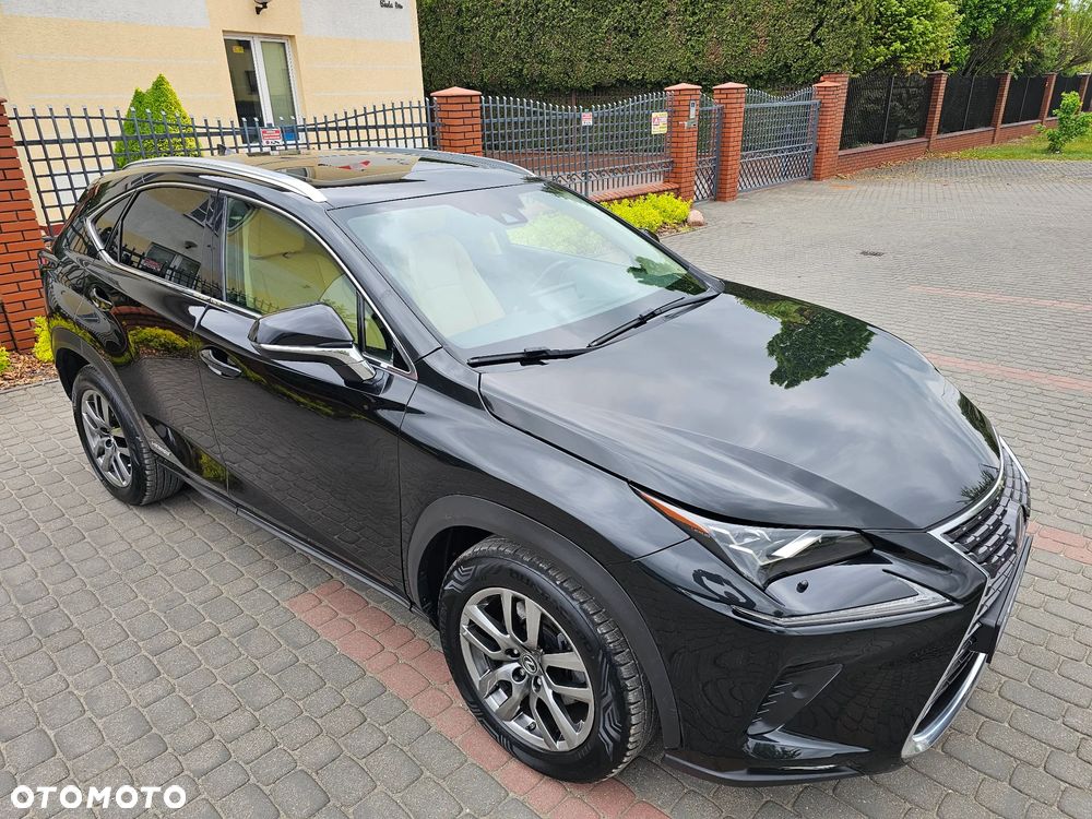 Lexus NX 300h Elegance 2WD - 38