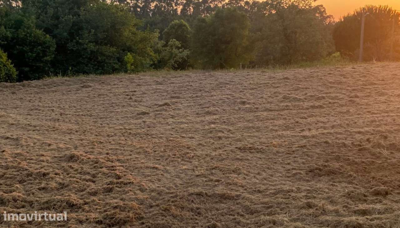 Venda de Terreno, Montaria, Viana do Castelo - Grande imagem: 3/21