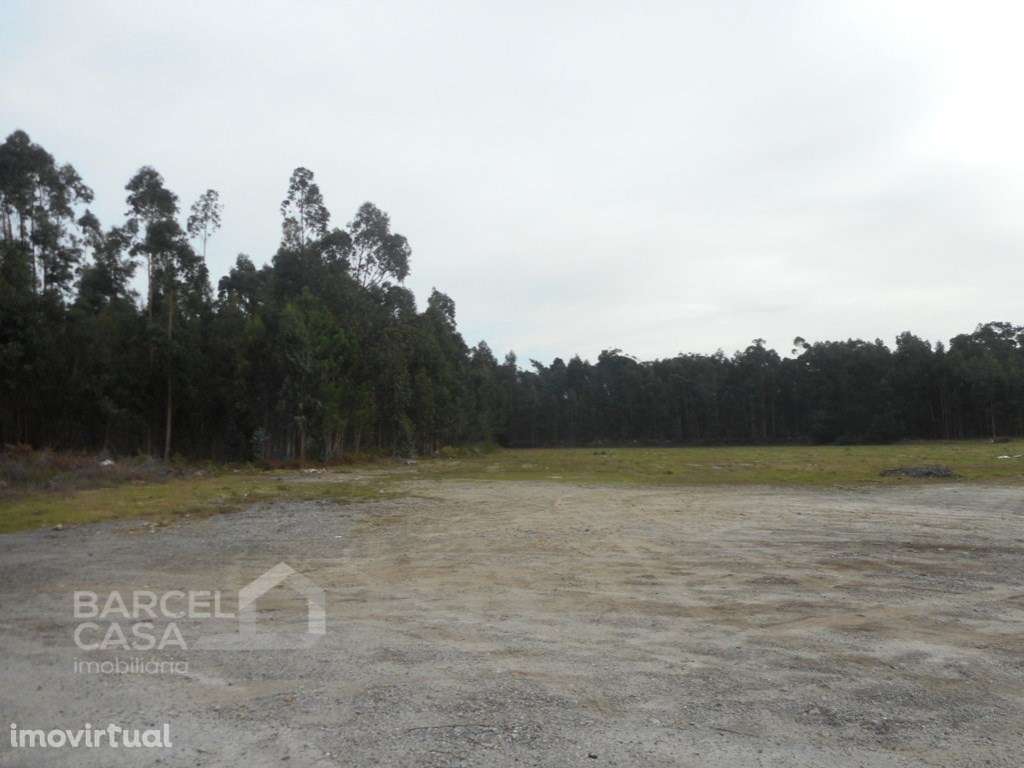 Terreno industrial em Palmeira de Faro - Esposende - Grande imagem: 4/5
