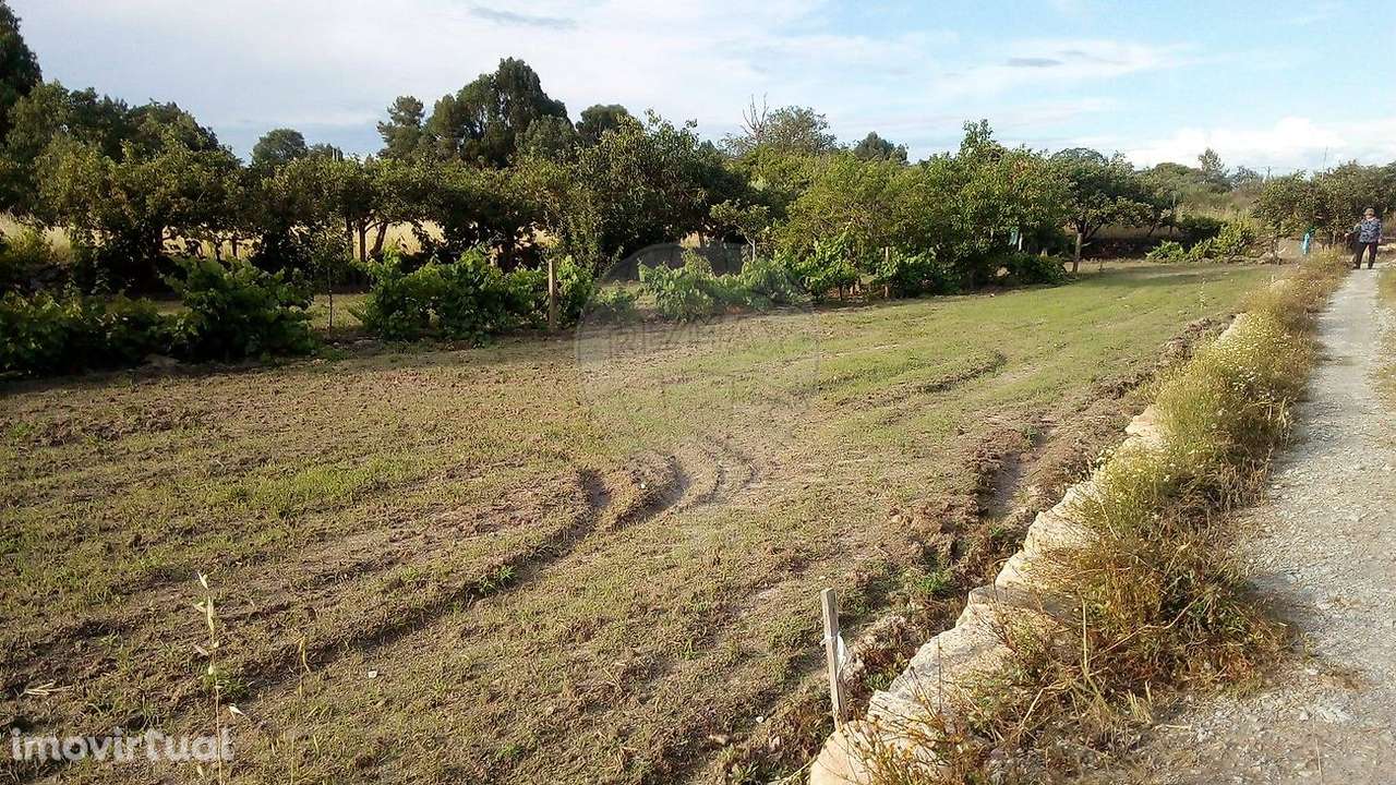 Quinta  para venda - Grande imagem: 3/12