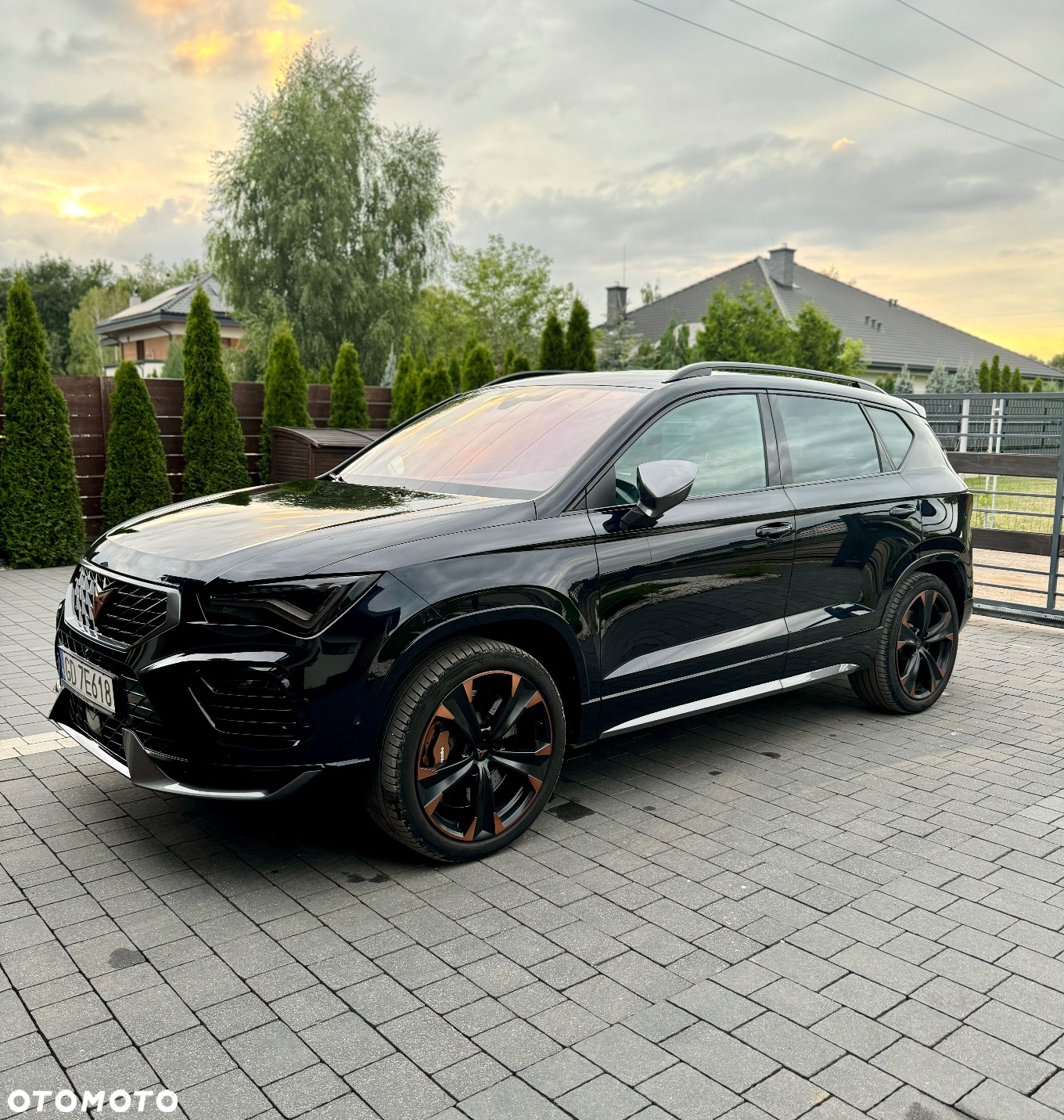 Cupra Ateca - 11