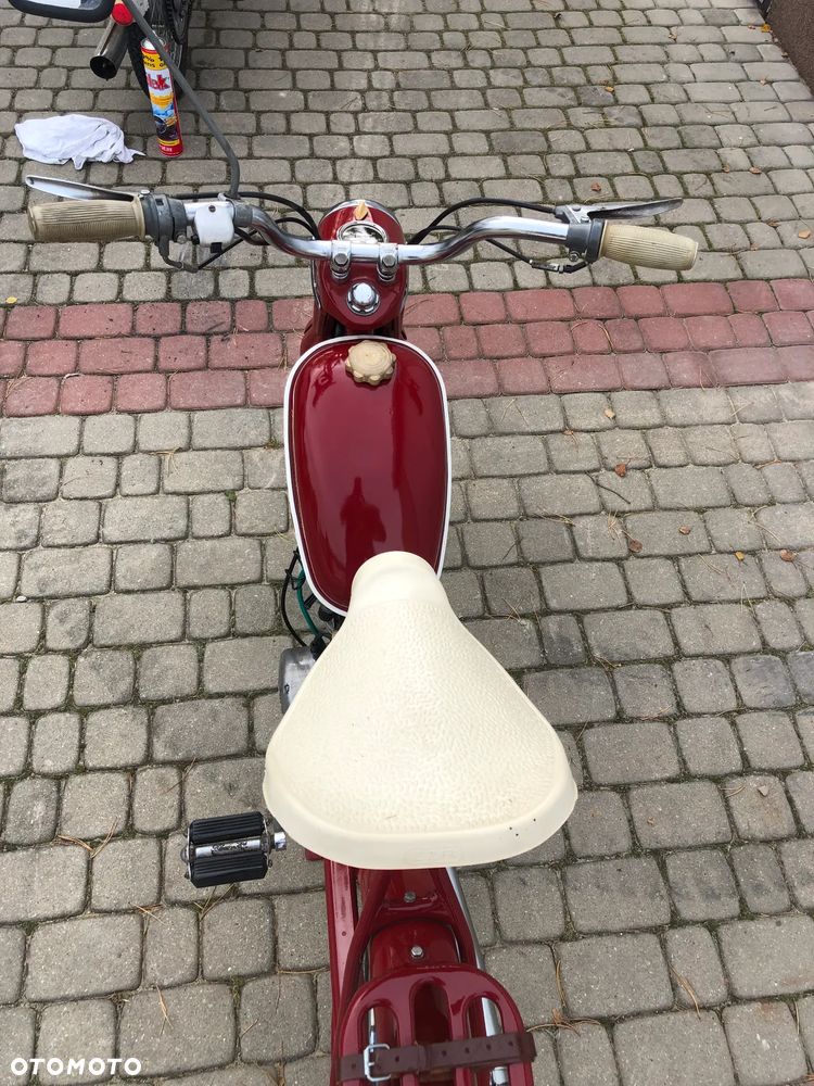 Komar Inny - 4