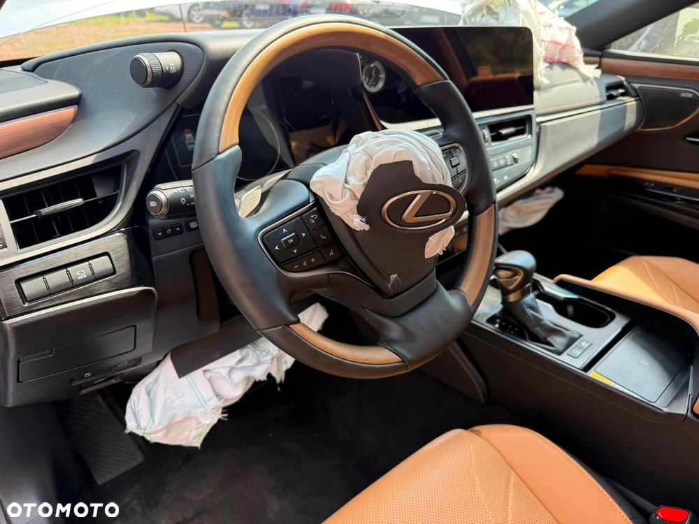 Lexus ES 300h Omotenashi - 15
