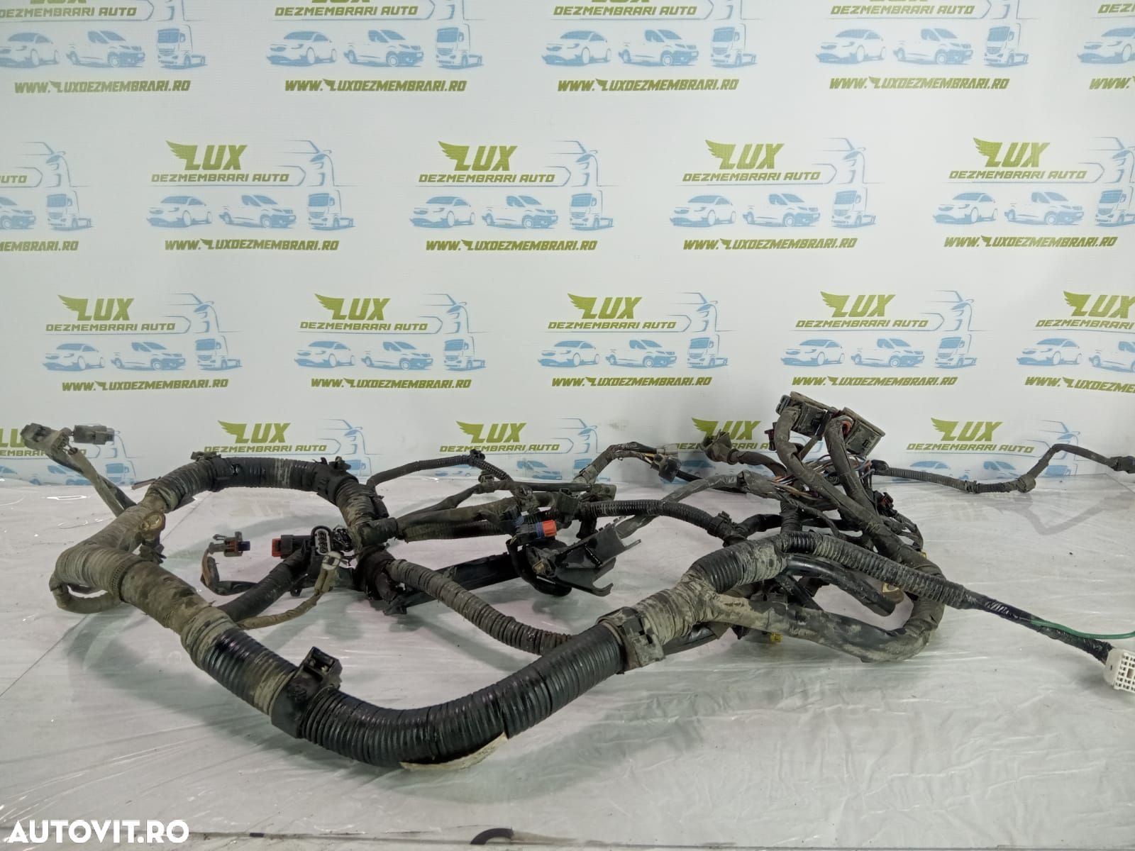Cablaj motor 1.6 ddis 9hx 36650-69k01 Suzuki SX4 1 (facelift)  [din 2 - 1
