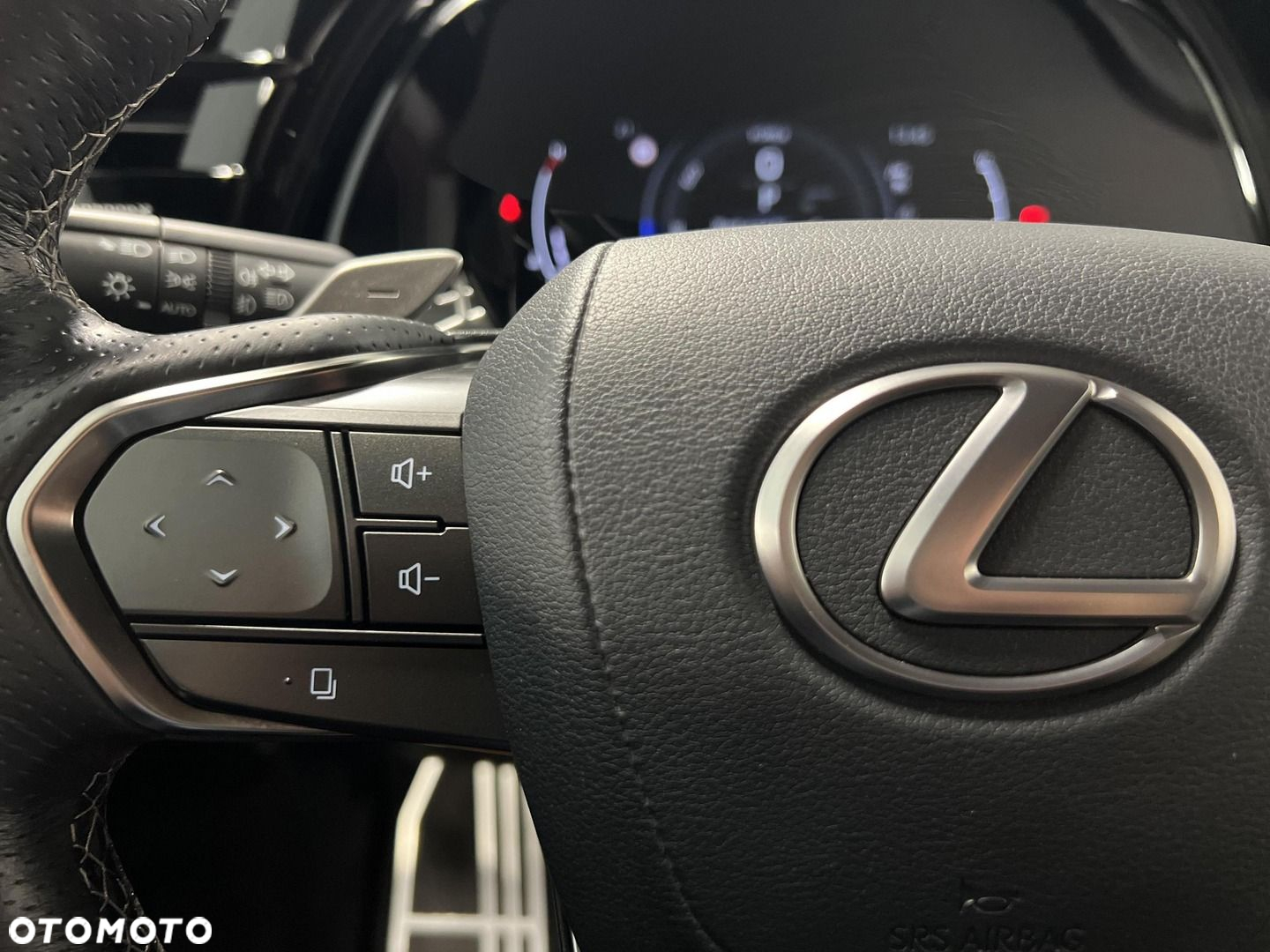 Lexus RX - 15