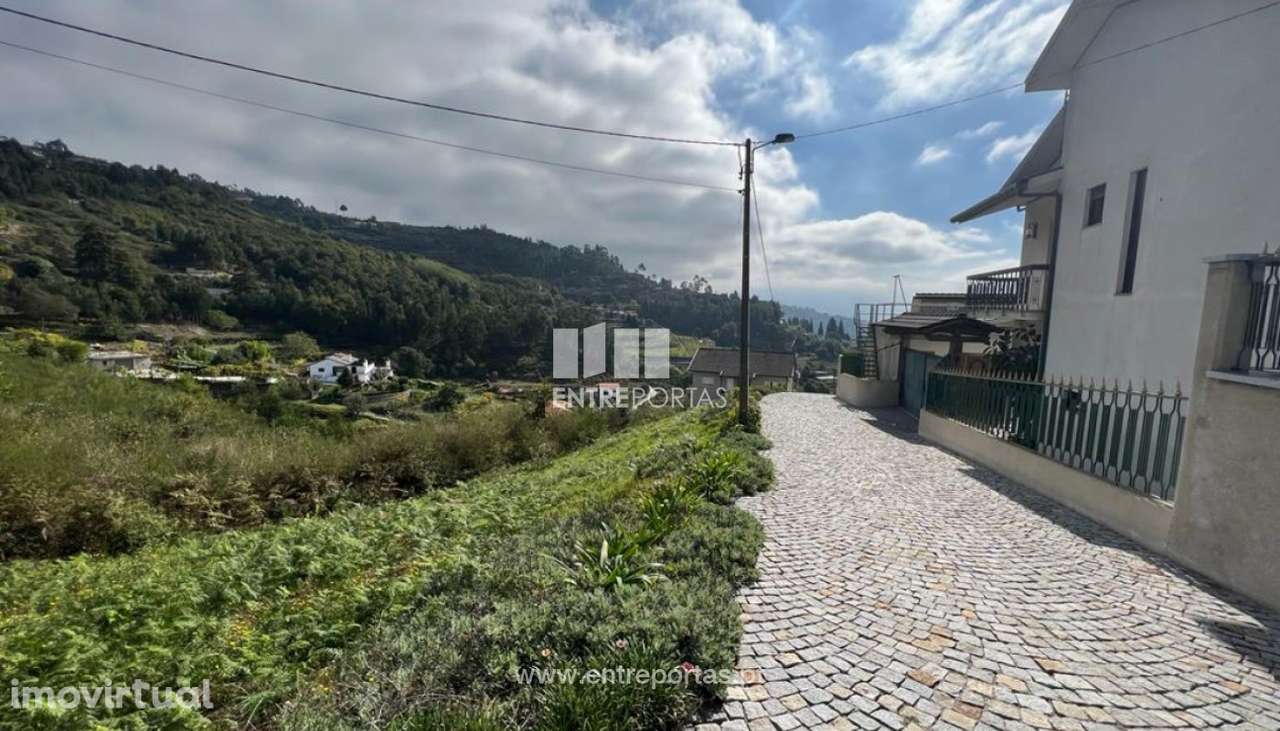 Venda Terreno, Santa Leocádia e Mesquinhata, Baião - Grande imagem: 3/30